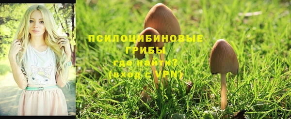 первитин Абинск
