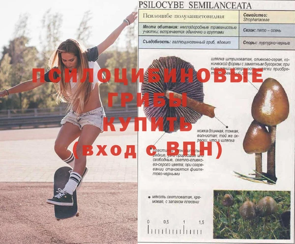 амф Абаза