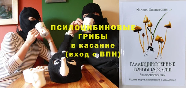 молекула духа Абдулино
